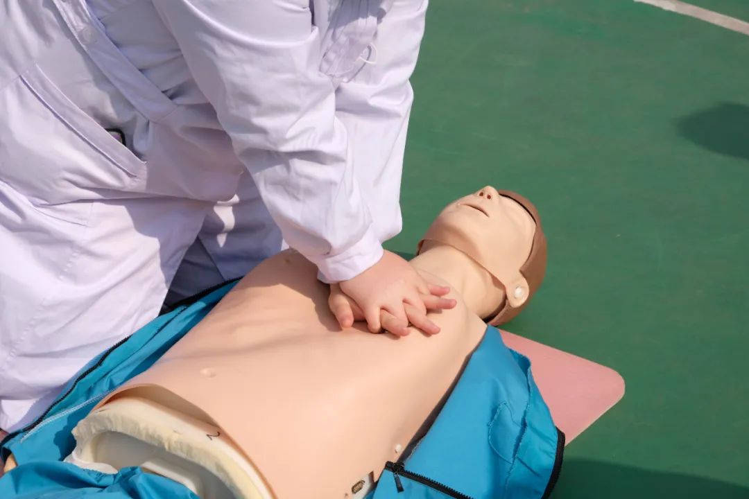 1638322772680222.jpg h8.jpg